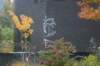 dsc02579_small.jpg