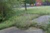 dsc02582_small.jpg