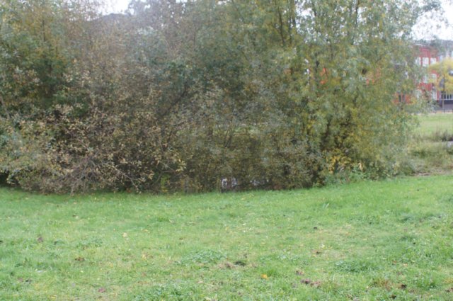 dsc02583.jpg