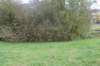 dsc02583_small.jpg