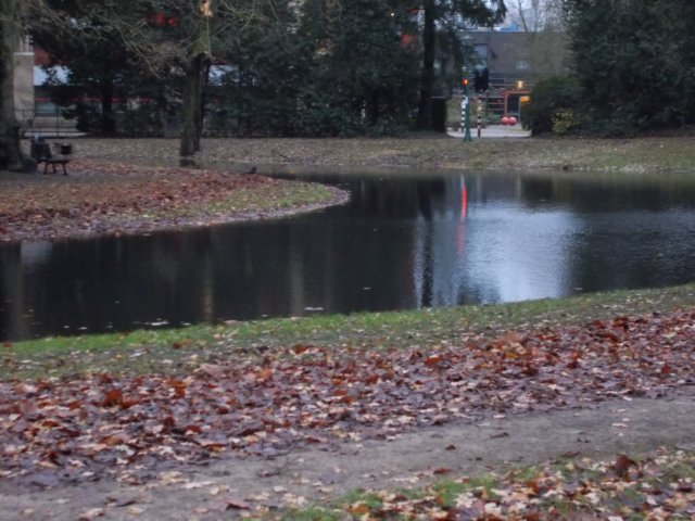 dscn0250.jpg