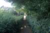 dsc00933_small.jpg