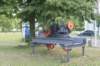 dsc01375_small.jpg