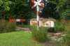 dsc01423_small.jpg