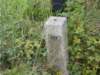 dscn0154_small.jpg