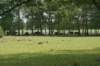 dsc00340_small.jpg