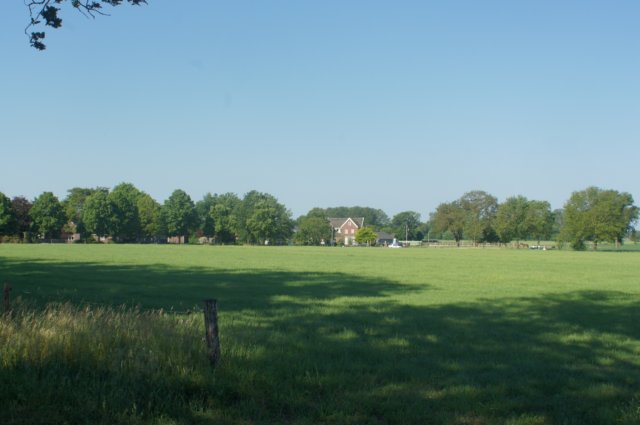 dsc00890.jpg