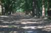 dsc00893_small.jpg