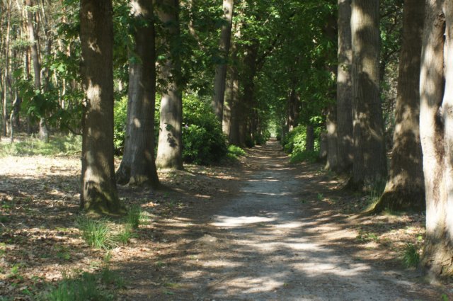 dsc00894.jpg
