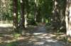 dsc00894_small.jpg