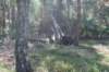 dsc00895_small.jpg