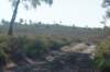 dsc00897_small.jpg