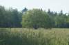 dsc00912_small.jpg
