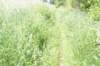 dsc00913_small.jpg