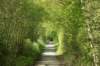 dsc00283_small.jpg