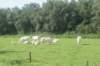 dsc01611_small.jpg