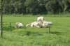 dsc01612_small.jpg