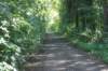 dsc02258_small.jpg