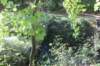 dsc02262_small.jpg