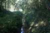 dsc02263_small.jpg