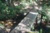 dsc02265_small.jpg