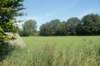 dsc02266_small.jpg