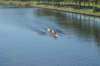 dsc02270_small.jpg