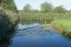 dsc02272_small.jpg