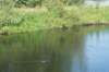 dsc02273_small.jpg