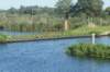 dsc02274_small.jpg