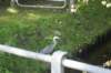 dsc02287_small.jpg