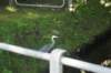 dsc02288_small.jpg