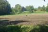 dsc02289_small.jpg