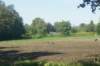 dsc02290_small.jpg