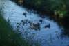 dsc02292_small.jpg