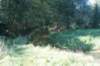 dsc02294_small.jpg