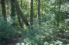 dsc02298_small.jpg