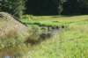 dsc02303_small.jpg