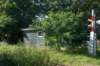 dsc02306_small.jpg