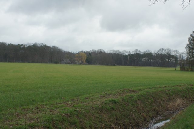 dsc09611.jpg