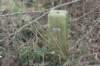 dsc09618_small.jpg