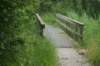dsc00984_small.jpg