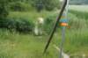 dsc00985_small.jpg