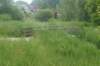 dsc00986_small.jpg