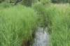 dsc00987_small.jpg