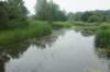 dsc00990_small.jpg