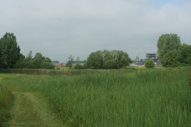 dsc00994.jpg