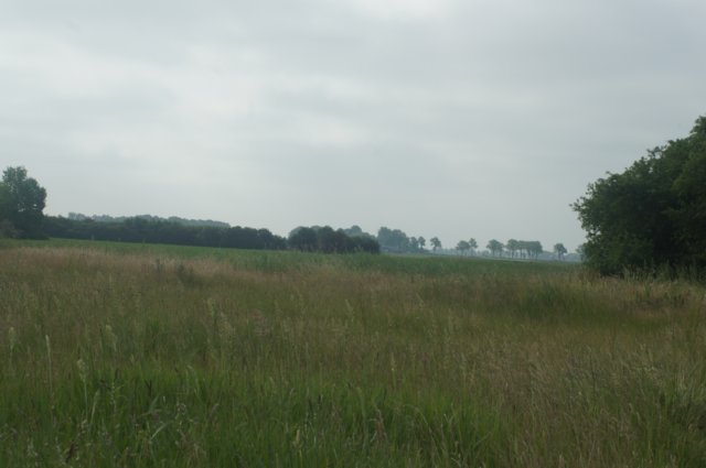dsc00997.jpg