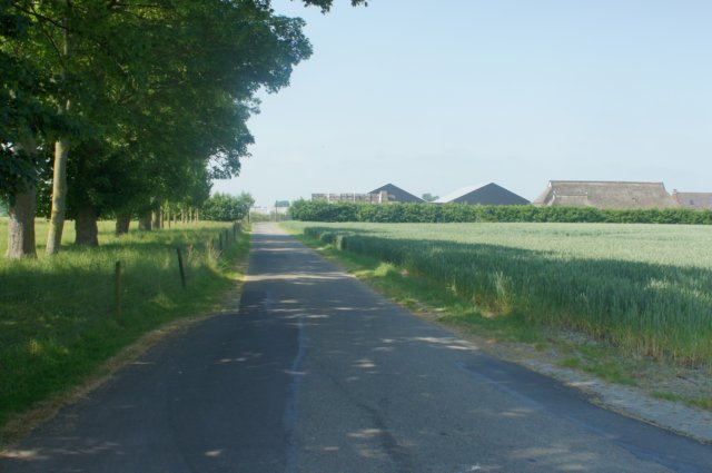 dsc01043.jpg