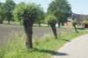 dsc00722_small.jpg